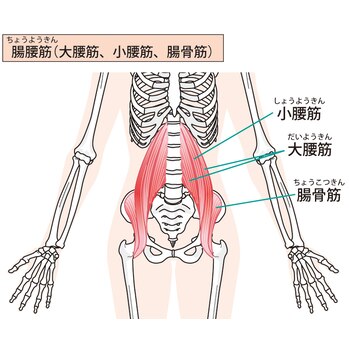 実は皆んなこっそり鍛えている大事な筋肉？！_20240317_1