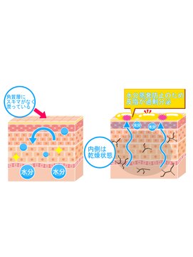 未来のお肌のために